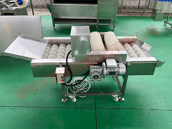 仙人掌仙桃去刺干洗機